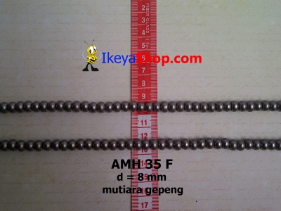 AMH 35 F  large2